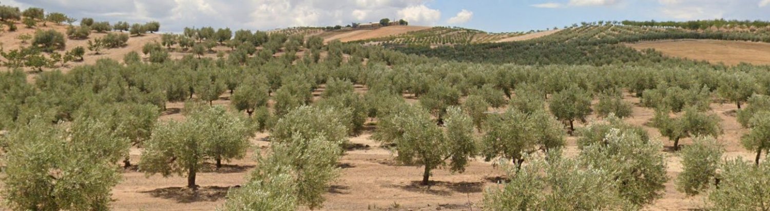 100000m² Land in Granada, Spain No. 202841