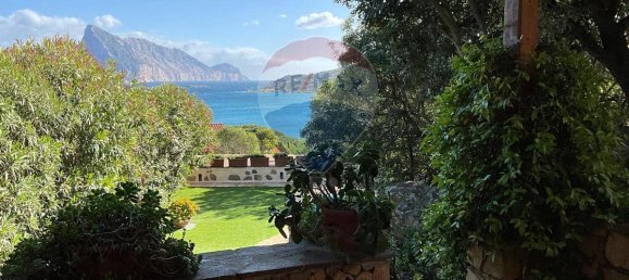 8 chambres Villa à San Teodoro, Italy No. 296179 22