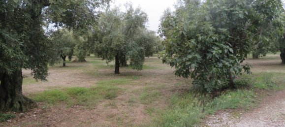 Terreno en Lamezia Terme, Italy 19290 m² No. 15375 3