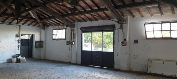 8 rooms House in Orvieto, Italy No. 81029 29