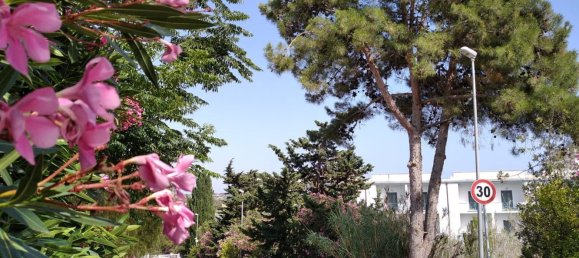 2-salle Appartement à Castelvetrano, Italy No. 269330 4