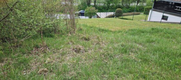 Земельный участок в Шпиталь ам Земмеринг, Австрия № 244643 10