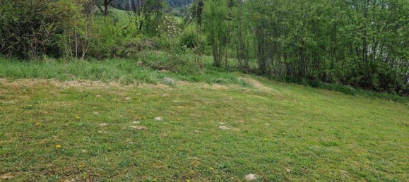 Земельный участок в Шпиталь ам Земмеринг, Австрия № 244643 13