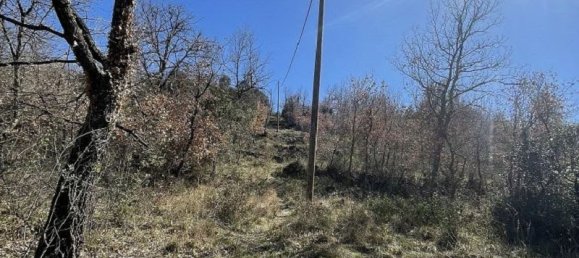  قطعة أرض في Pyrenees-Orientales, France رقم 299558 2