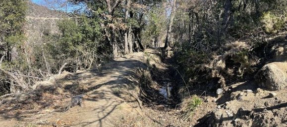  قطعة أرض في Pyrenees-Orientales, France رقم 299558 7