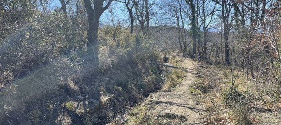  قطعة أرض في Pyrenees-Orientales, France رقم 299558 8