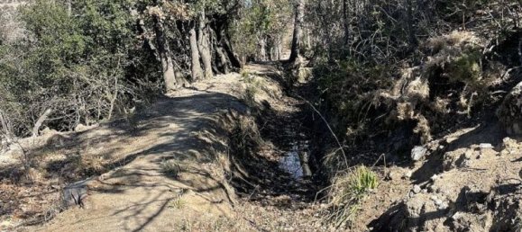  قطعة أرض في Pyrenees-Orientales, France رقم 299558 6