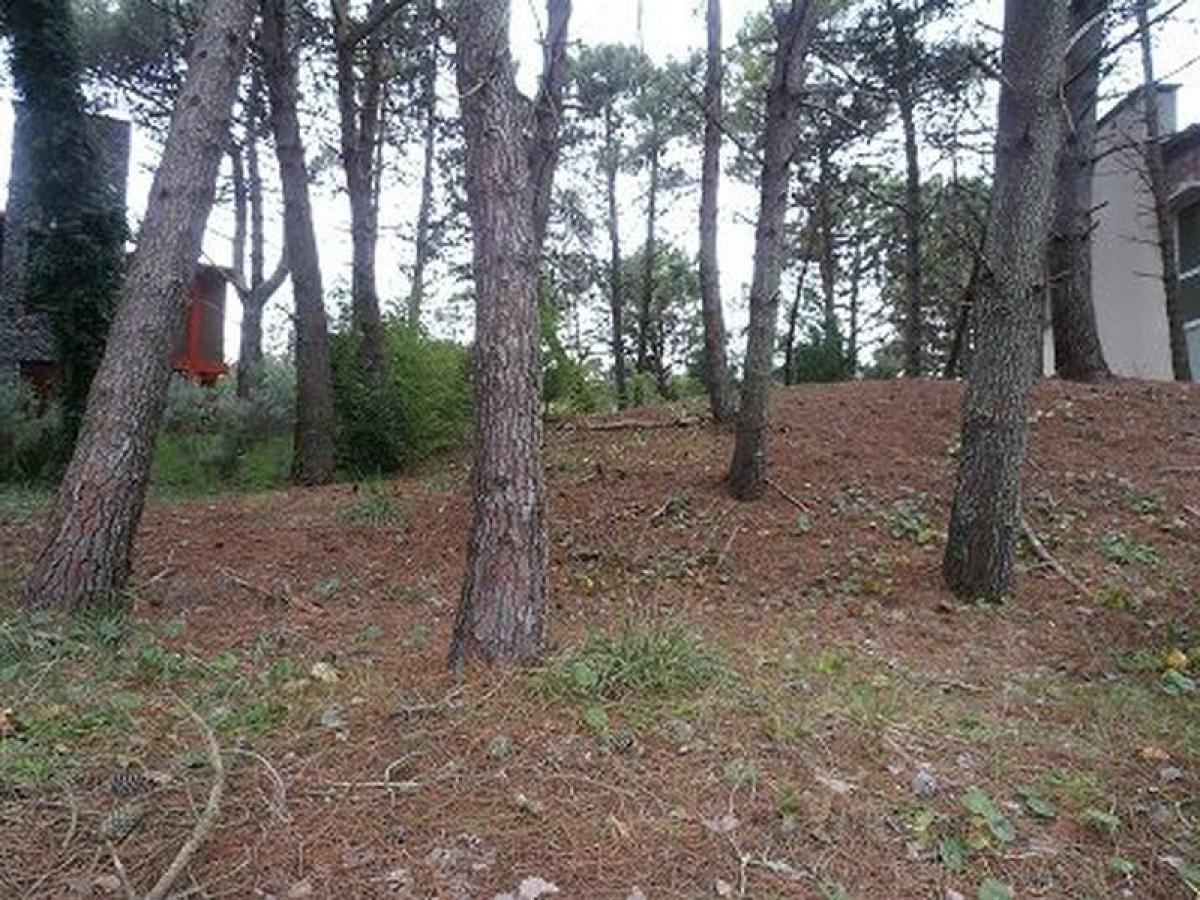 Земельный участок в Мар-дель-Плата, Аргентина № 113219