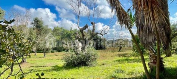 Вилла с 5 комнатами в Лечче, Италия № 203128 32