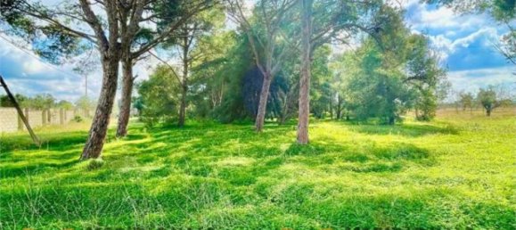 Вилла с 5 комнатами в Лечче, Италия № 203128 29