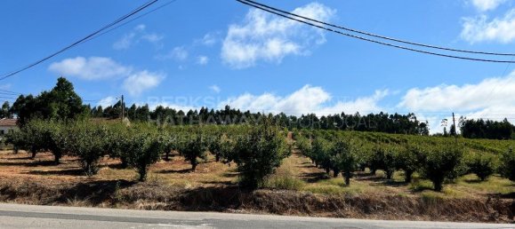 Grundstück in Torres Vedras, Portugal 1000m², Nr. 299144 5