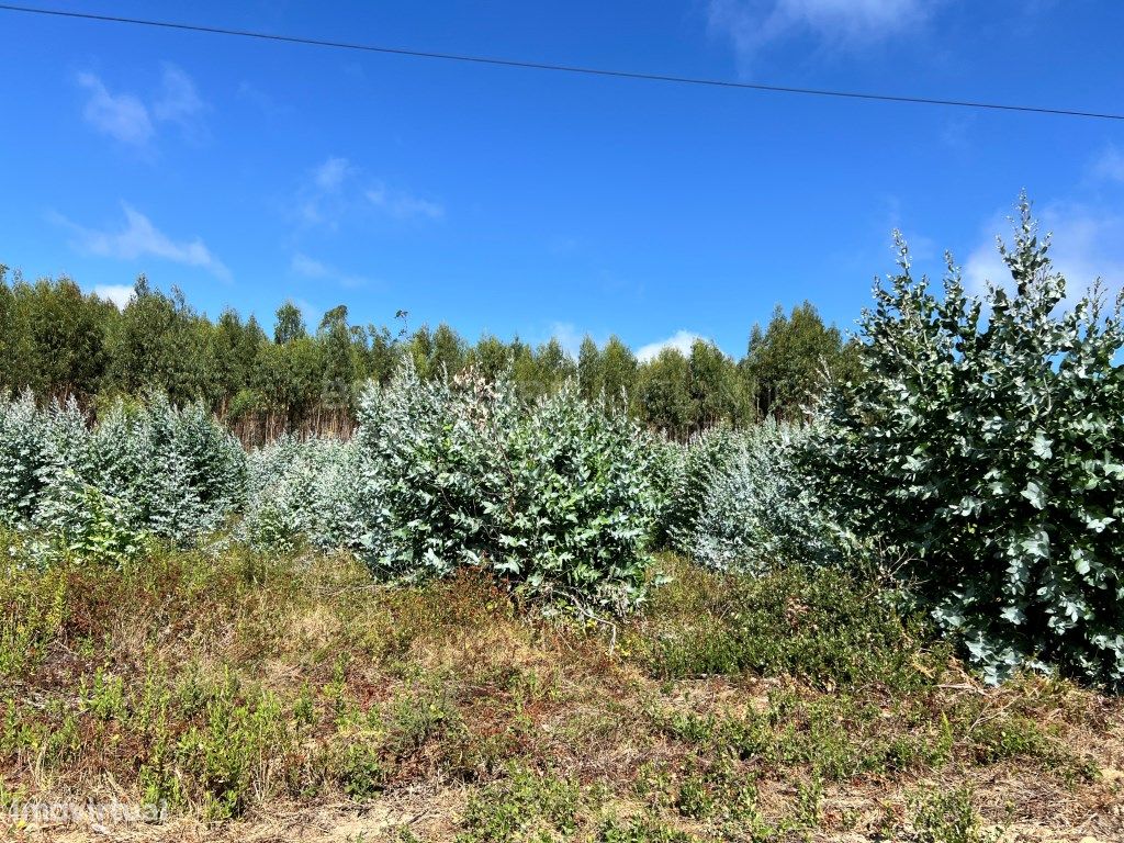 Terreno en Torres Vedras, Portugal 1000 m² No. 299144