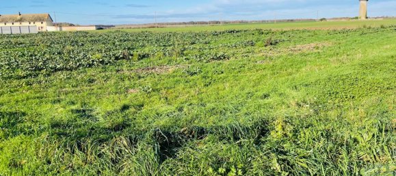 Grundstück in Nogent-le-Roi, France 1002m², Nr. 100611 2