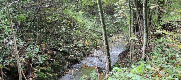 2 bedrooms Apartment in Pinsdorf, Austria No. 139046 17