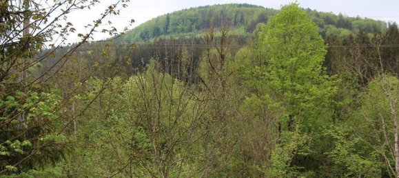 2 bedrooms Apartment in Pinsdorf, Austria No. 139046 19