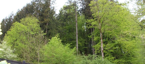 2 bedrooms Apartment in Pinsdorf, Austria No. 139046 18