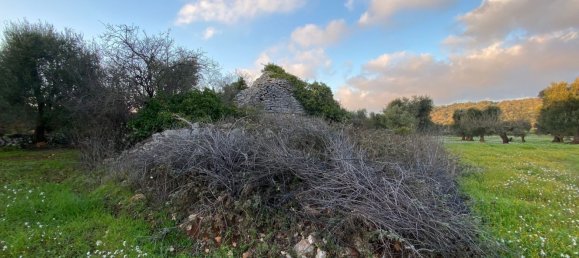 10غرفة منزل في Ceglie Messapica, Italy رقم 173185 6