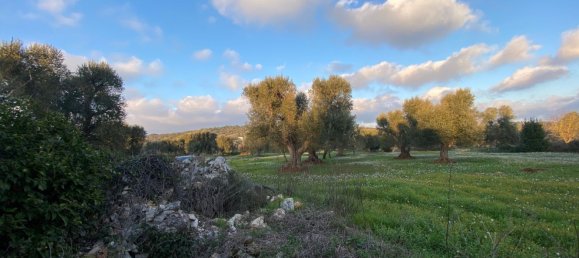 10غرفة منزل في Ceglie Messapica, Italy رقم 173185 44