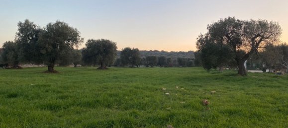 10غرفة منزل في Ceglie Messapica, Italy رقم 173185 25