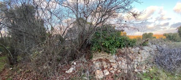 10غرفة منزل في Ceglie Messapica, Italy رقم 173185 7