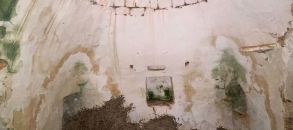 10غرفة منزل في Ceglie Messapica, Italy رقم 173185 20