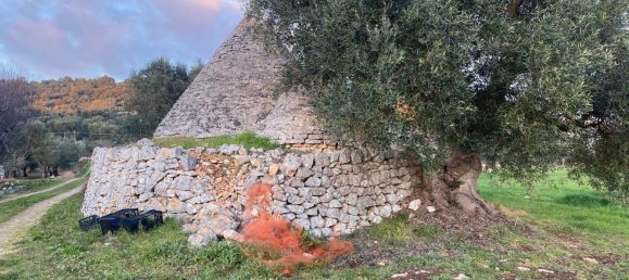 10غرفة منزل في Ceglie Messapica, Italy رقم 173185 26