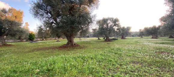 10غرفة منزل في Ceglie Messapica, Italy رقم 173185 33