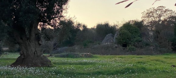 10غرفة منزل في Ceglie Messapica, Italy رقم 173185 2