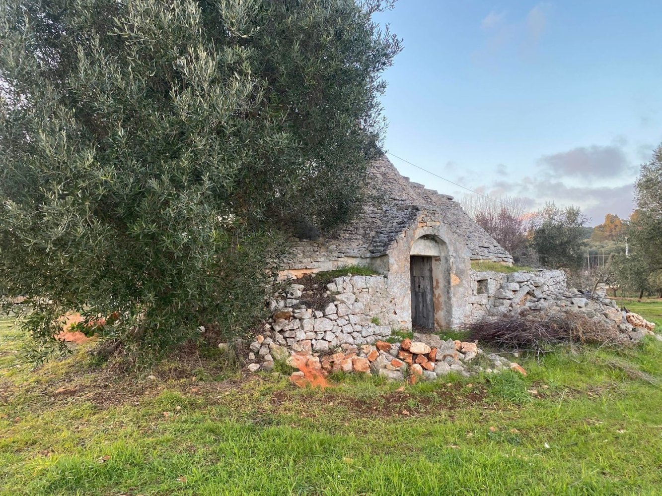 10غرفة منزل في Ceglie Messapica, Italy رقم 173185