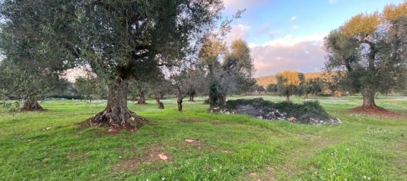 10غرفة منزل في Ceglie Messapica, Italy رقم 173185 49