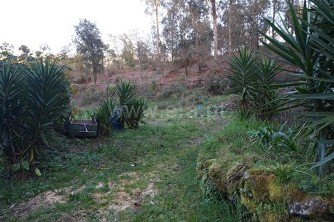  Land in Barcelos, Portugal No. 205242