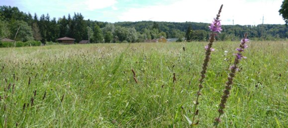 Grundstück in Hart bei Graz, Austria 776m², Nr. 212581 2
