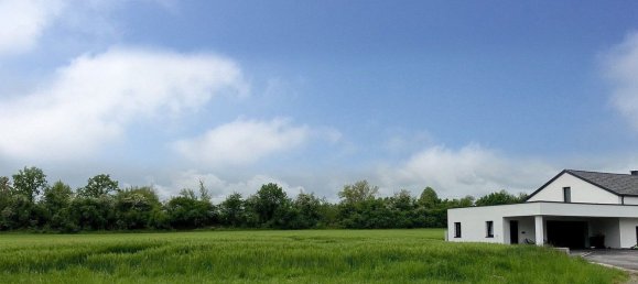 Terreno em Taufkirchen an der Pram, Austria N.º 130767 3