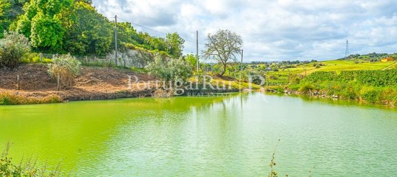 1 bedroom House in Santarem, Portugal No. 192357 4