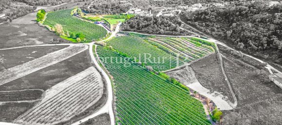 1 bedroom House in Santarem, Portugal No. 192357 2