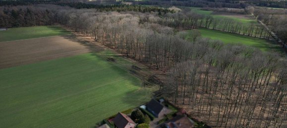 3 bedrooms House in Emsland, Germany No. 175989 8