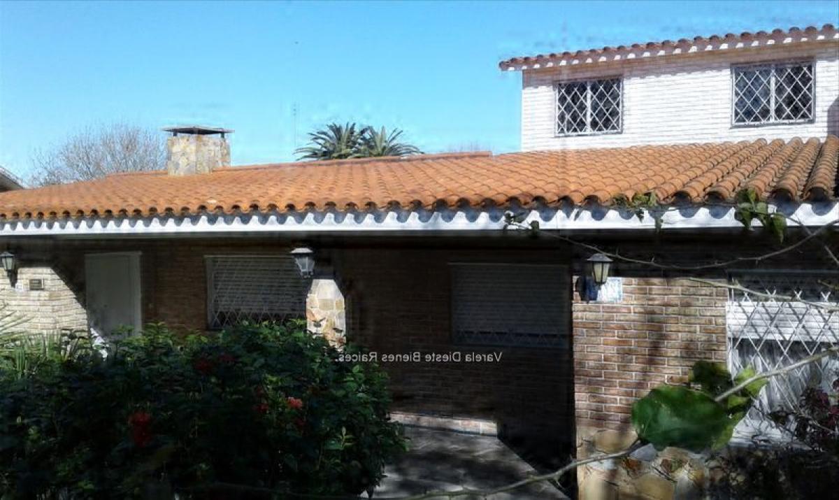 5 bedrooms House in Montevideo, Uruguay No. 6331