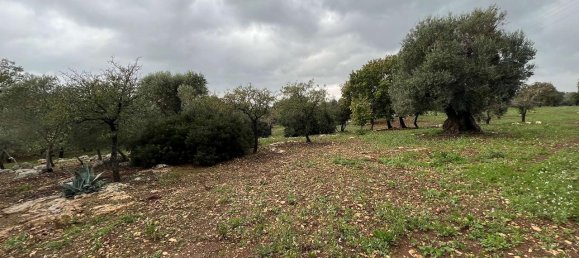 1-Zimmer Grundstück in San Vito dei Normanni, Italy, Nr. 177837 14