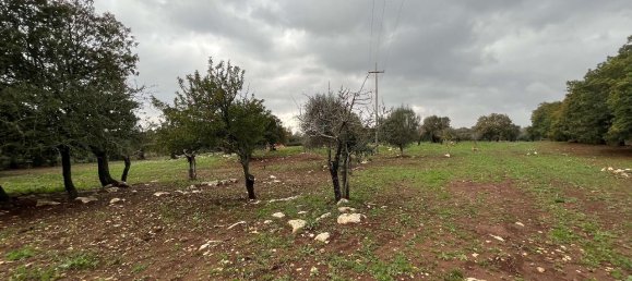 1-Zimmer Grundstück in San Vito dei Normanni, Italy, Nr. 177837 2