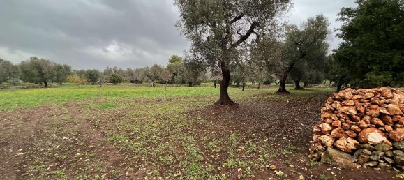 1-Zimmer Grundstück in San Vito dei Normanni, Italy, Nr. 177837 5