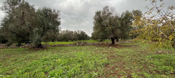 1-Zimmer Grundstück in San Vito dei Normanni, Italy, Nr. 177837 7