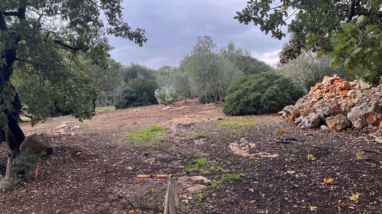 1-Zimmer Grundstück in San Vito dei Normanni, Italy, Nr. 177837