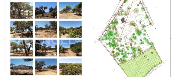 Grundstück in Almancil, Portugal, Nr. 145363 24