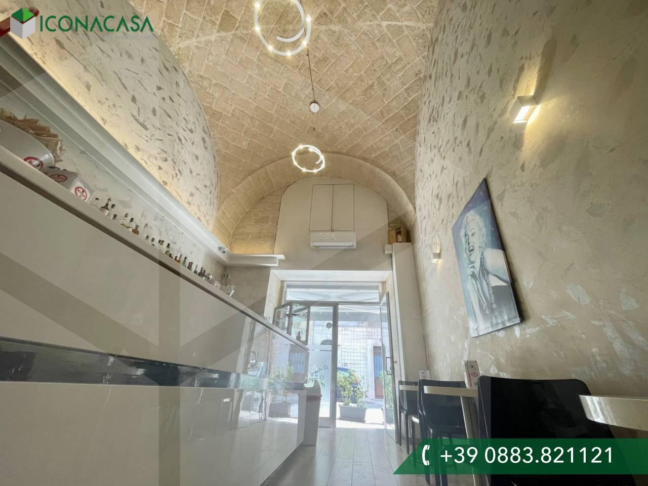 Studio in Andria, Italy No. 16414