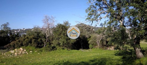 3 Schlafzimmer Haus in Sao Bras de Alportel, Portugal, Nr. 72243 13