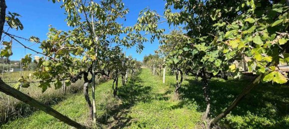 10 rooms Castles in Alvito, Italy No. 55819 40