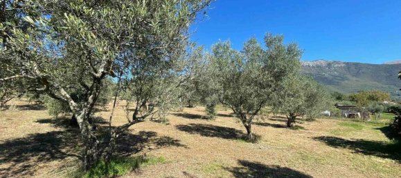 10 rooms Castles in Alvito, Italy No. 55819 38