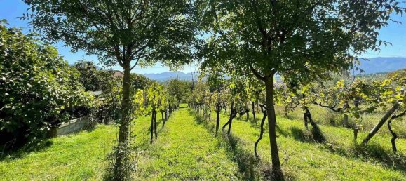 10 rooms Castles in Alvito, Italy No. 55819 34