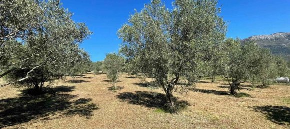 10 rooms Castles in Alvito, Italy No. 55819 36