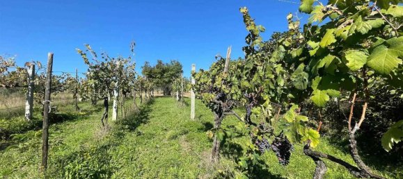 10 rooms Castles in Alvito, Italy No. 55819 39